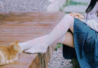 心急如焚怎么打开155fun？来，资源我全包，教你轻松拿下！