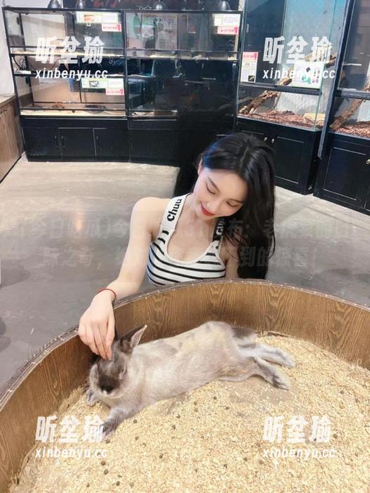 今日吃瓜 今日吃瓜51发布:老虎菜的口味之奇,绝对让你意想不到的惊喜!