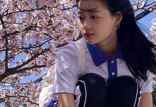 今日吃瓜51：老虎菜果然不简单，看看这个免费神功吧！