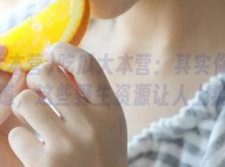 吃瓜大本营：其实你也很想知道，这些野生资源让人上瘾！