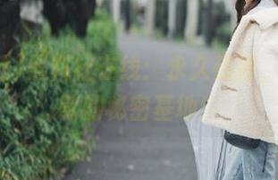 黑料社在线：永久热搜，瓜不停歇的秘密基地！