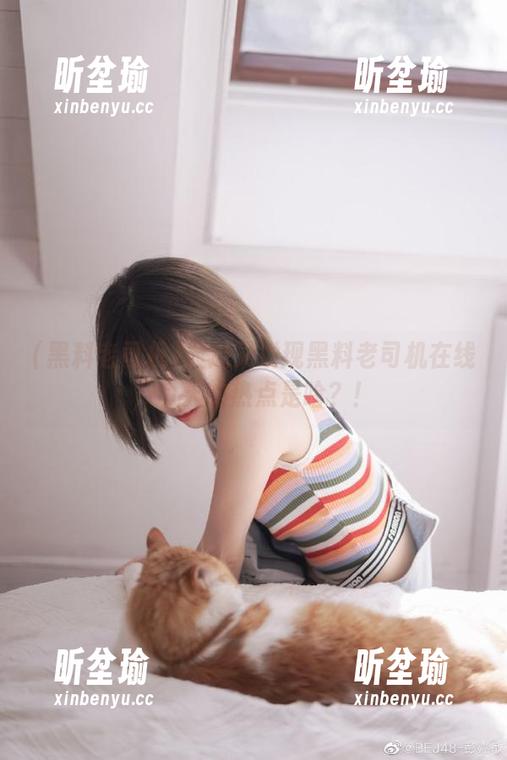 最近又发现黑料老司机在线，今天的热点是啥？！